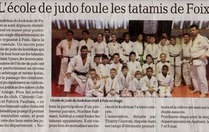 Stage de Judo