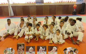 54631b115561b_judositepetit.jpg