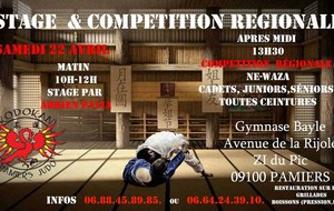 Tournoi régional NE_WAZA à PAMIERS