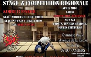 Tournoi régional ne waza 